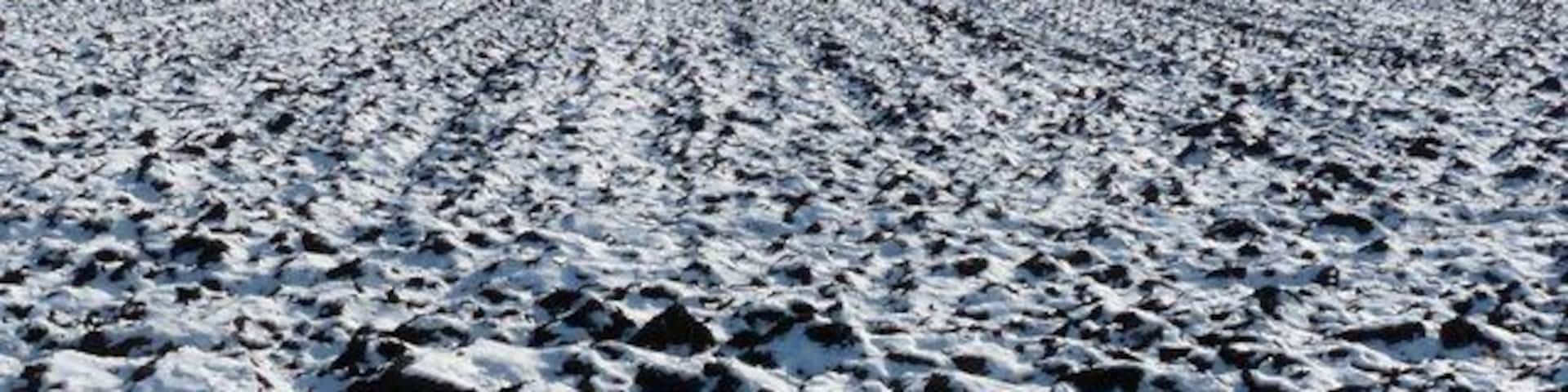 Winterliches Feld bei Landsham