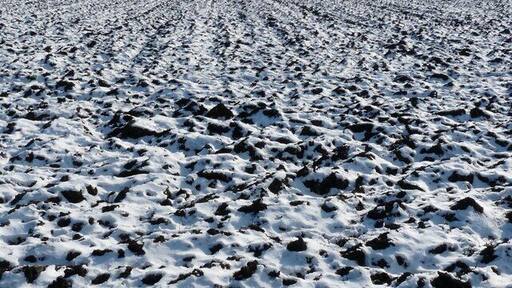 Winterliches Feld bei Landsham