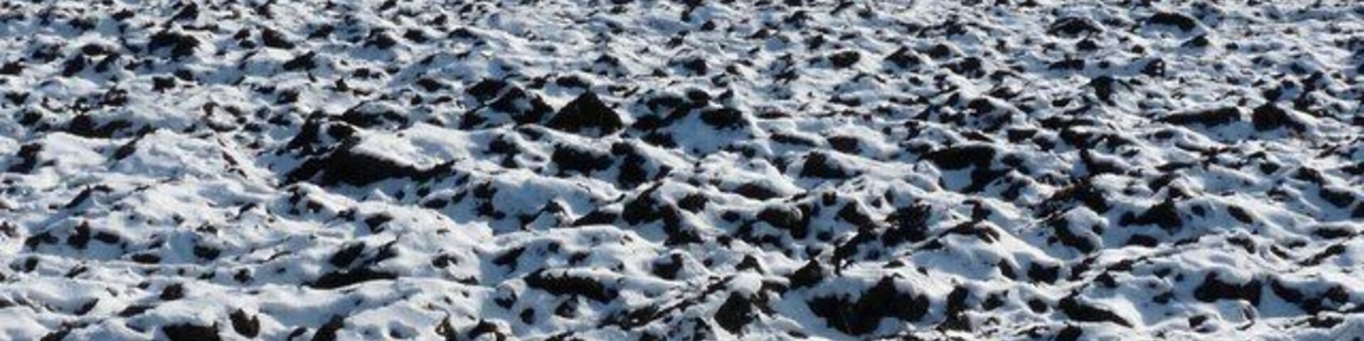 Winterliches Feld bei Landsham