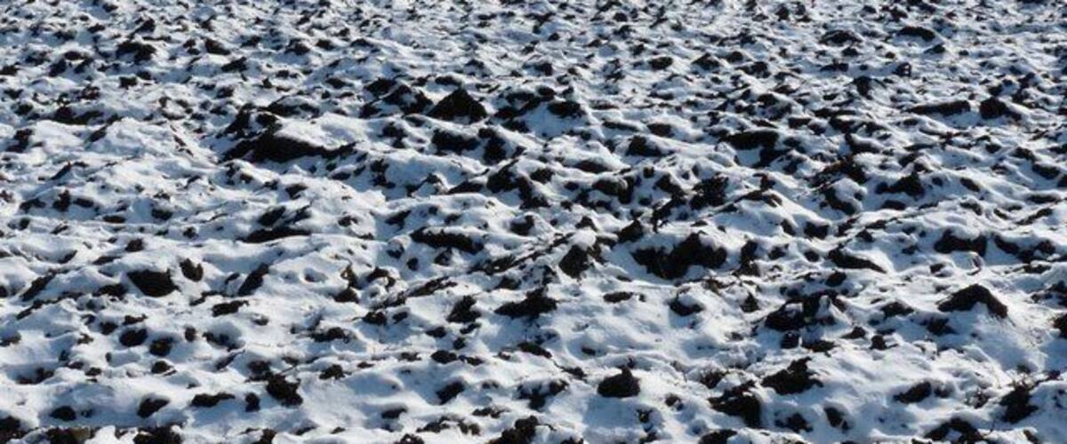 A snow-covered field with furrows.