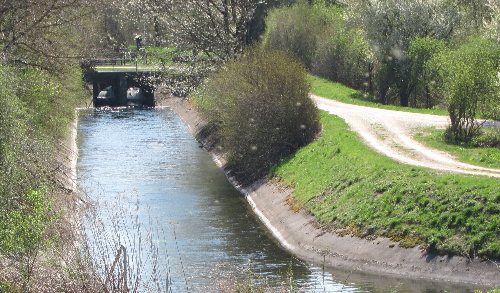 Abfanggraben: Auslassbauwerk und Mündung in den Entwässerungsgraben der Fischteiche am Mitteldamm des Speichersees