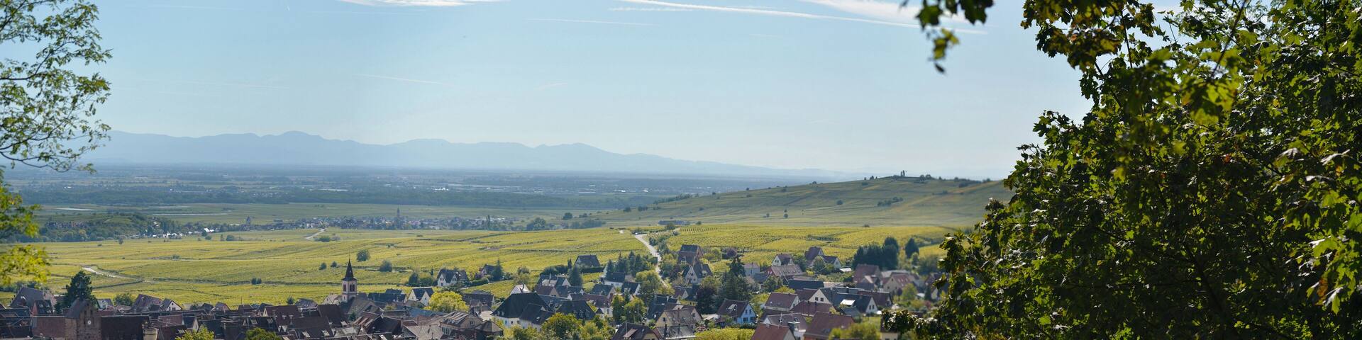 Riquewihr_Panorama