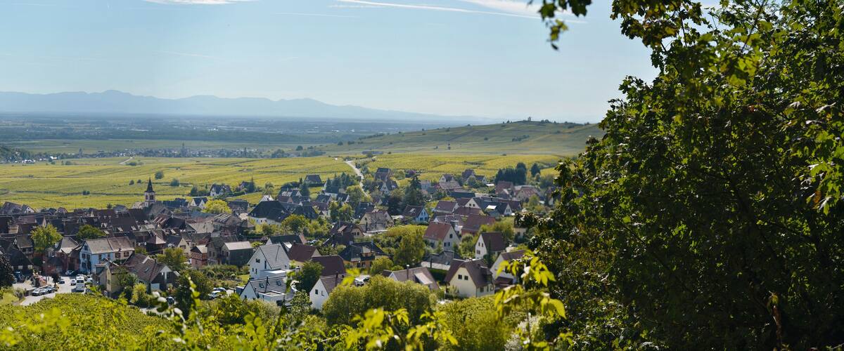 A town nestled in a valley with vineyards, surrounded by hills and mountains in the distance.