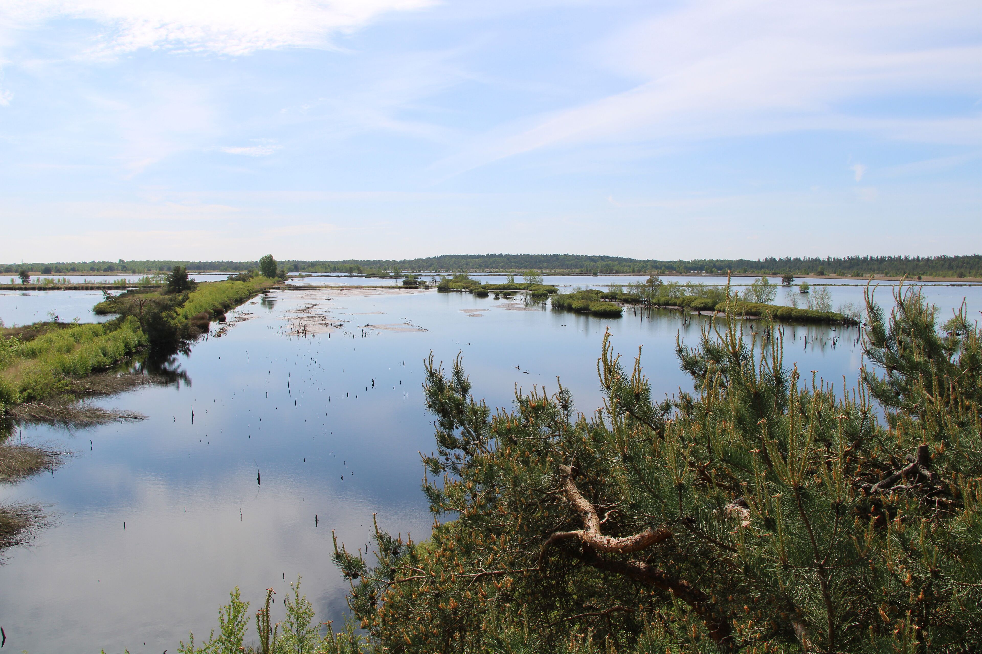 Peat bog - Hiking in Northwestern Germany - Nordpfad "Börde Sittensen" - Tister Bauernmoor