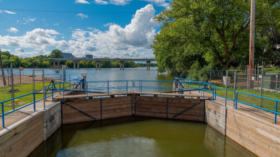 A wooden lock gate with blue railings, a river, a bridge, and trees in the background.