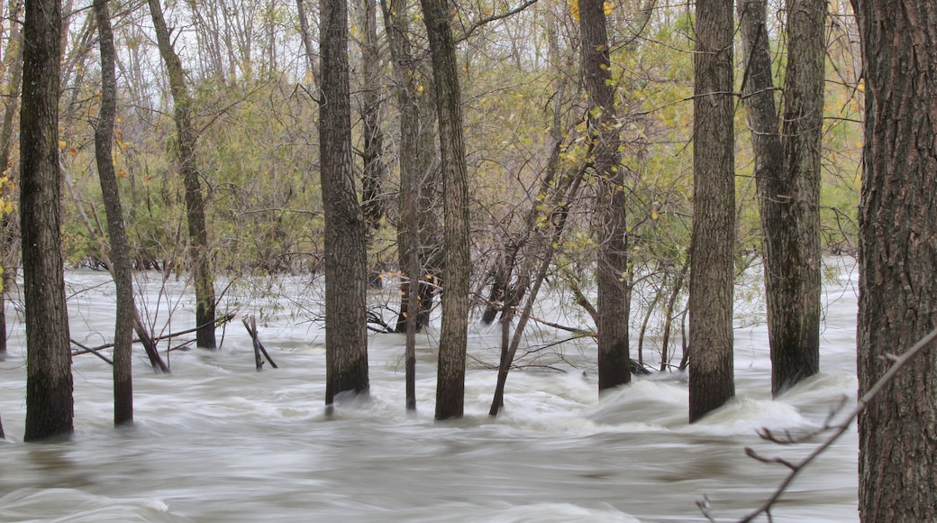 Freezing the flood on the Fox River. Canon Rebel T6 with 70-300mm lens.