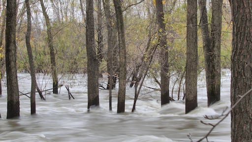 Freezing the flood on the Fox River. Canon Rebel T6 with 70-300mm lens.
