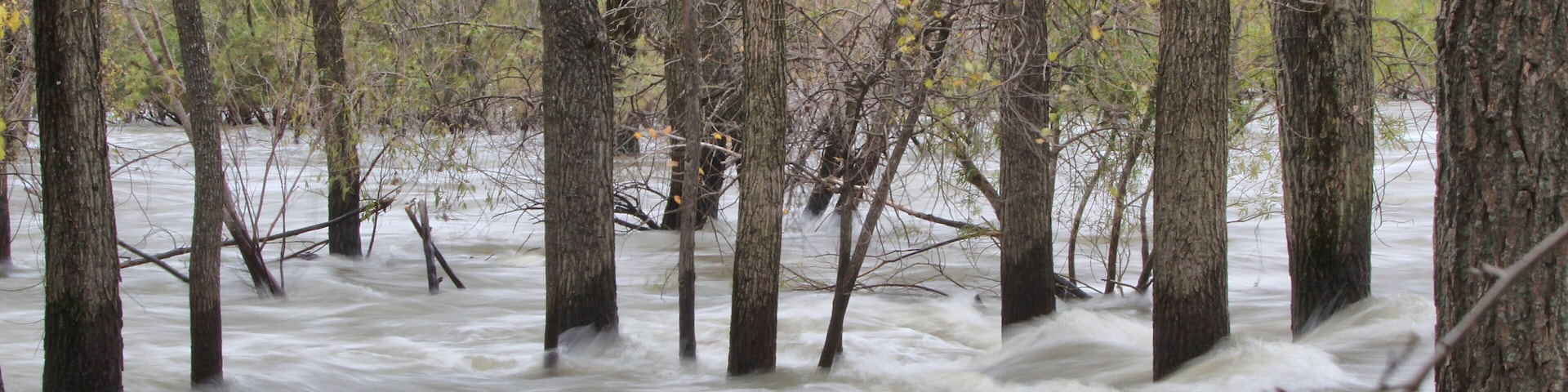 Freezing the flood on the Fox River.  Canon Rebel T6 with 70-300mm lens.