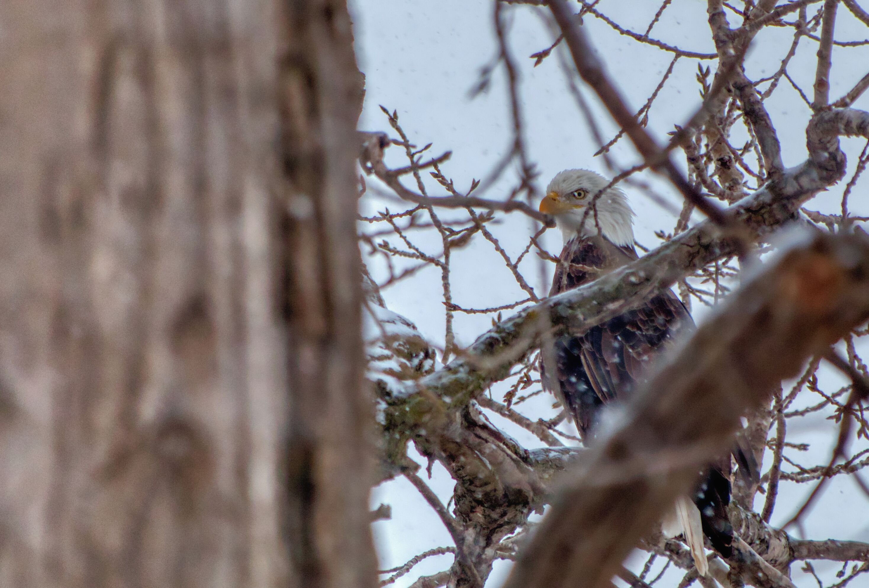 Reprocessed this shot I took a couple of months ago in Aurora HDR.  Nice software and I like how some photos turn out - especially the shadows.