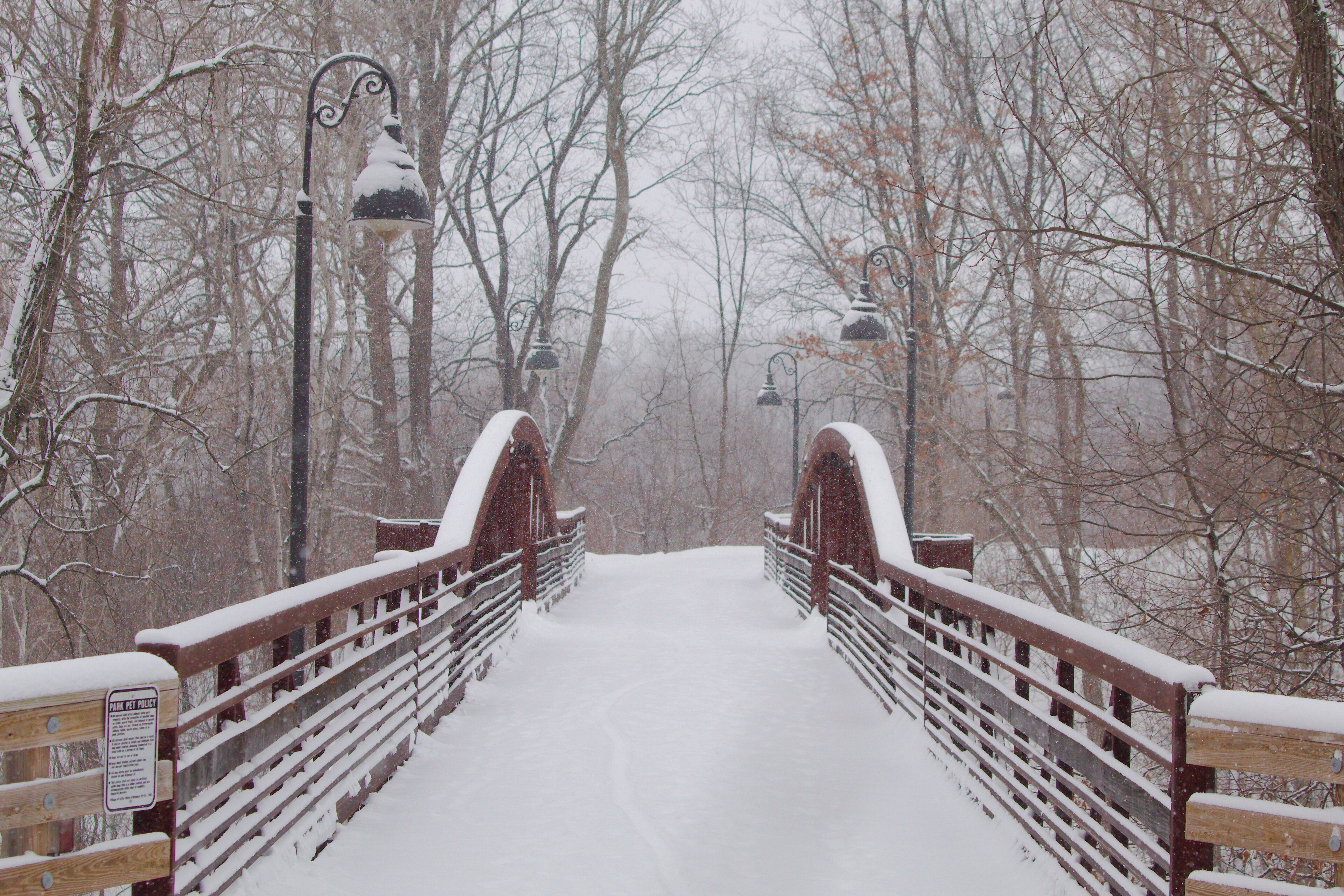 A snow-covered wooden bridge with metal railings and street lamps in a forested area.