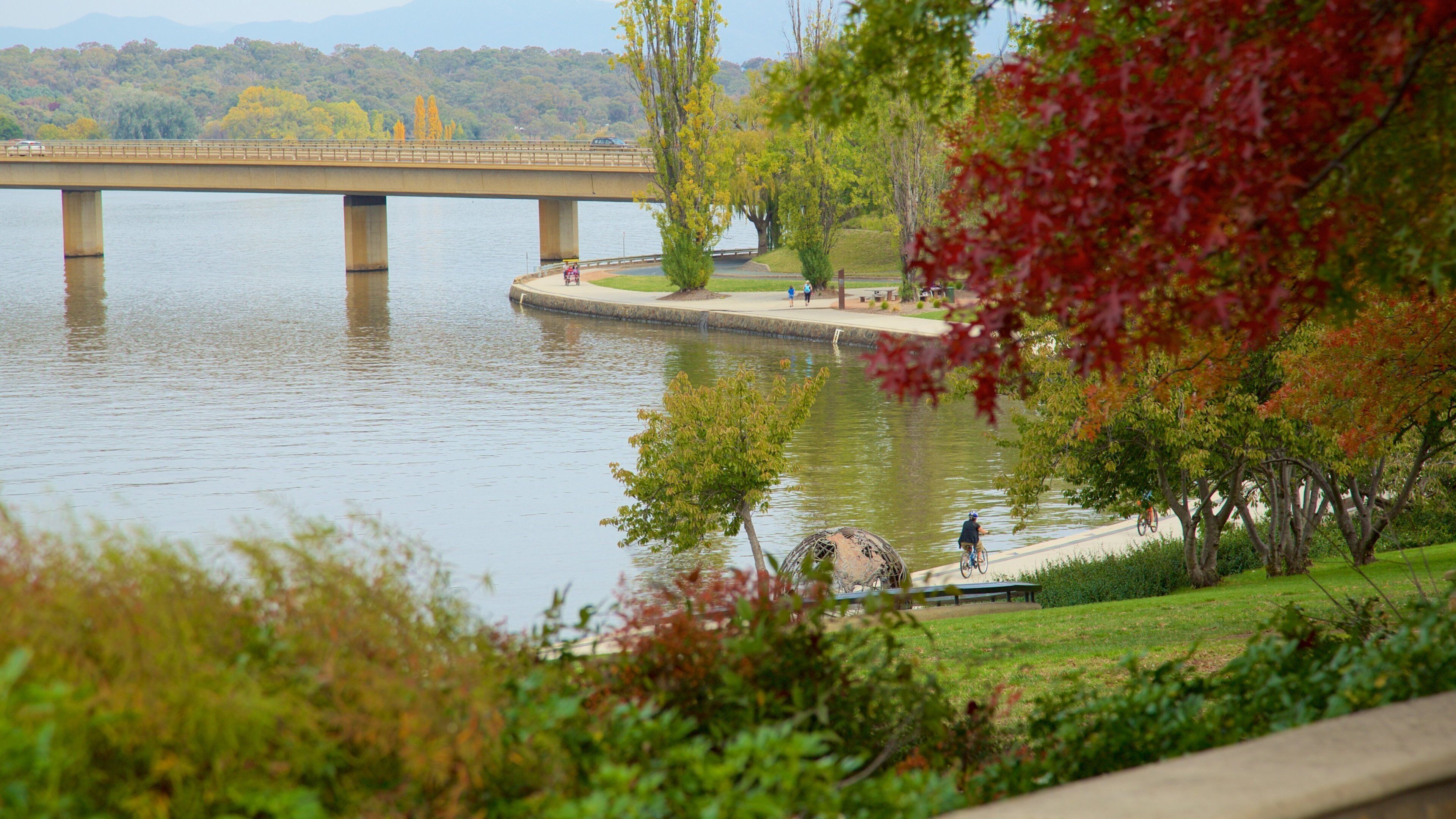 Canberra som viser høstfarger, hage og innsjø