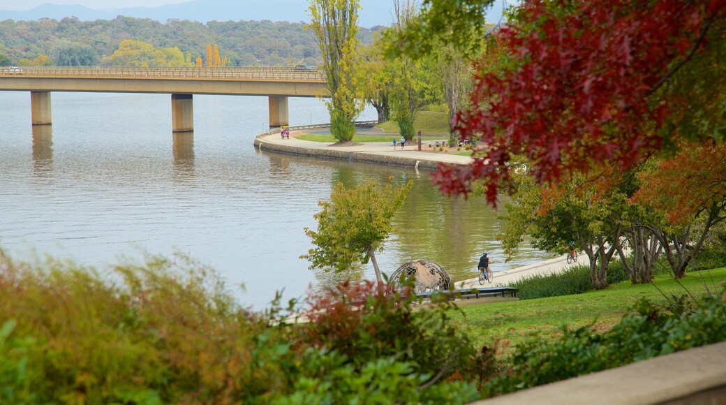 Canberra som viser høstfarger, hage og innsjø