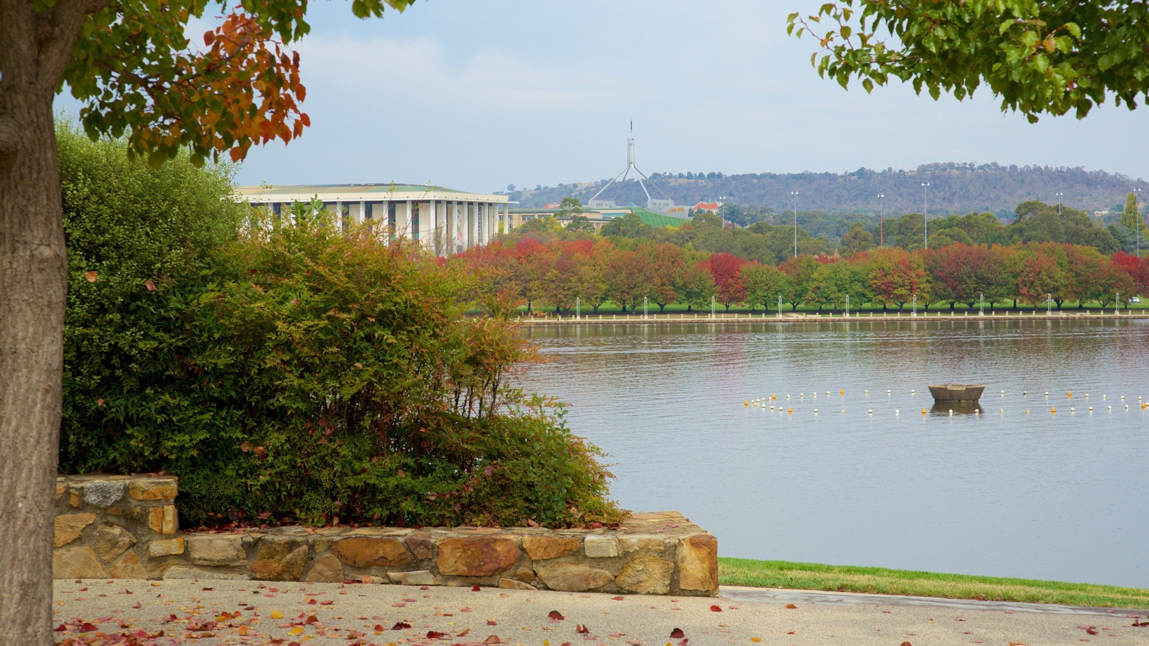 Canberra featuring fall colors and a lake or waterhole