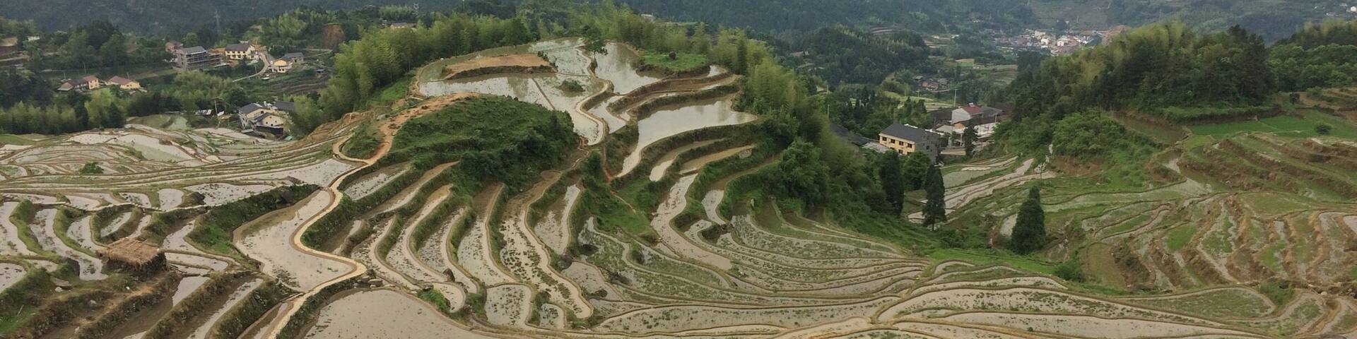 Yunhe Rice Terraces, Lishui. Well worth the drive!