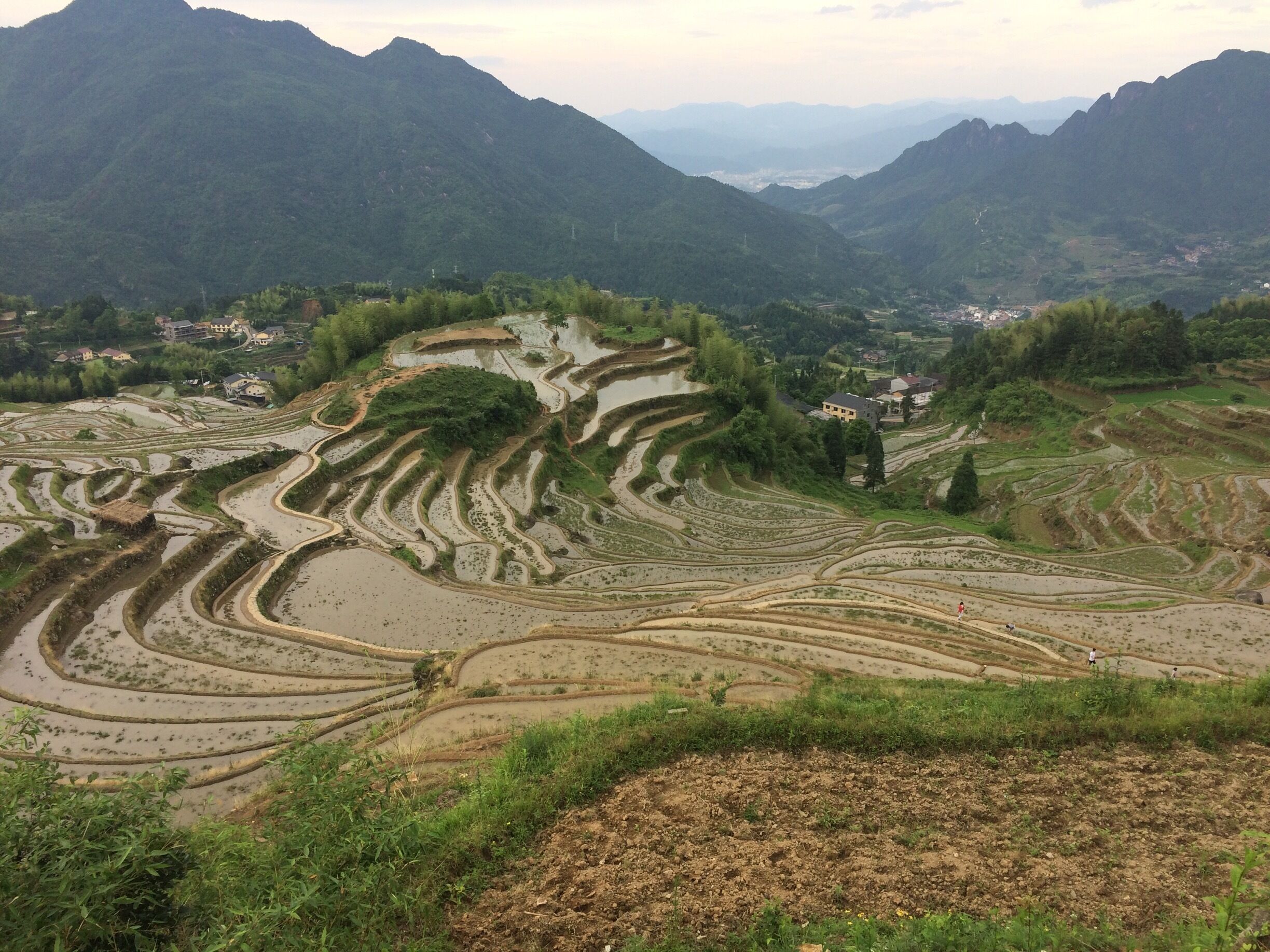 Terraced rice fields in a mountainous region with houses in the valley.