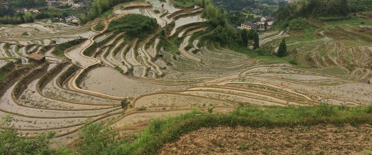 Terraced rice fields in a mountainous region with houses in the valley.