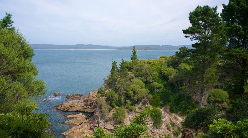 Sapphire Coast which includes general coastal views and rocky coastline