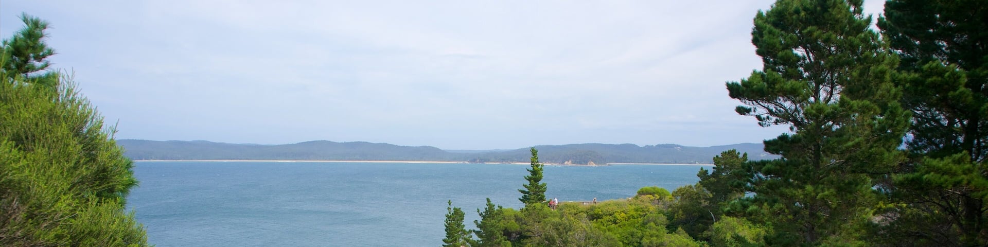 Sapphire Coast which includes general coastal views and rocky coastline