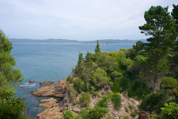 Sapphire Coast which includes general coastal views and rocky coastline