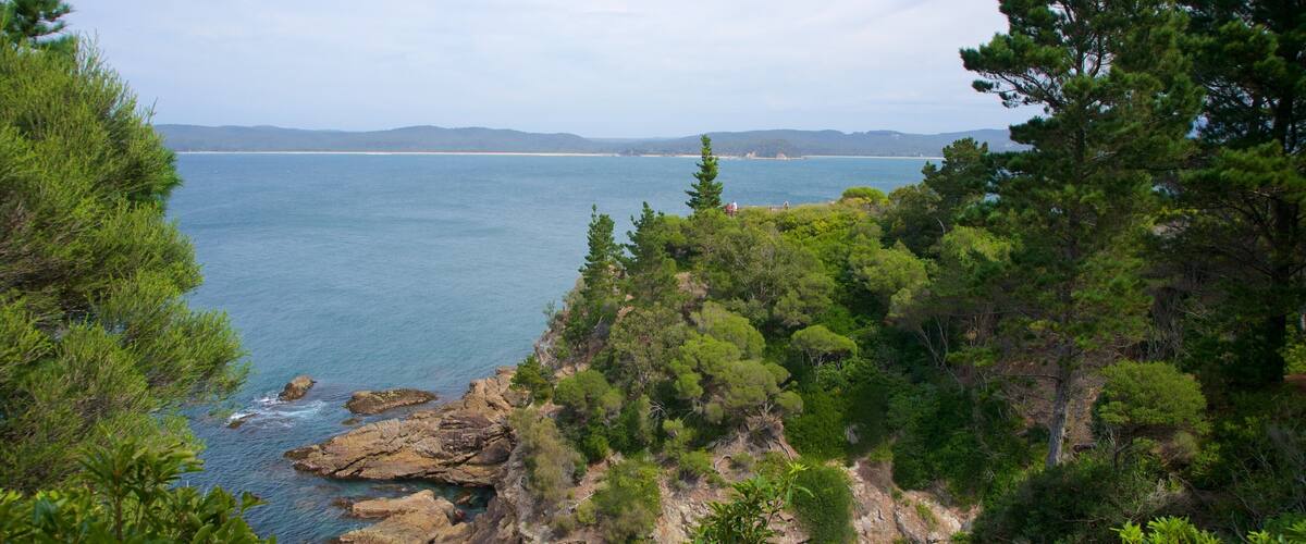 A coastal landscape with rocky cliffs, dense green foliage, and a calm sea.