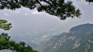 주장