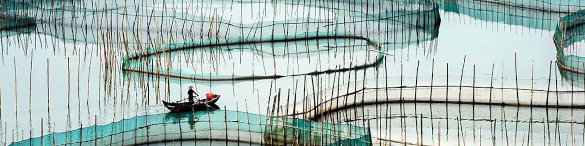 A water body with multiple fishing nets and boats.