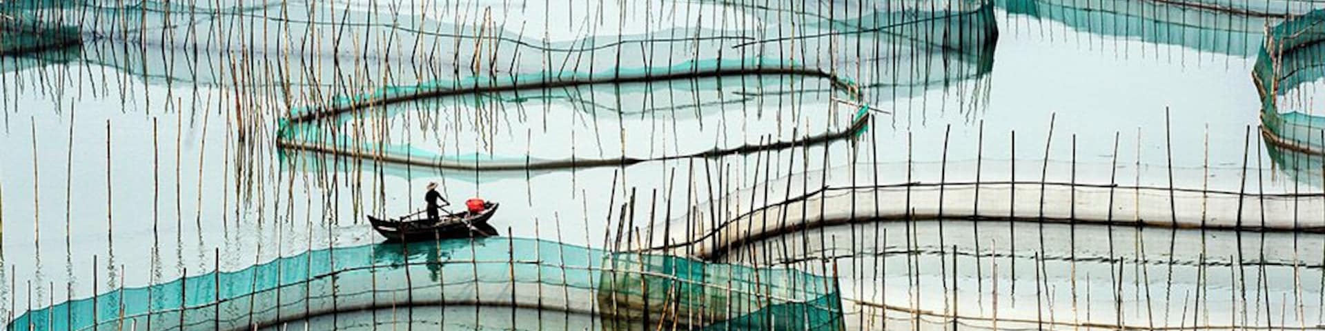 Amazing #Xiapu Mudflat in Fujian.
霞浦
https://twitter.com/Beautifulgx