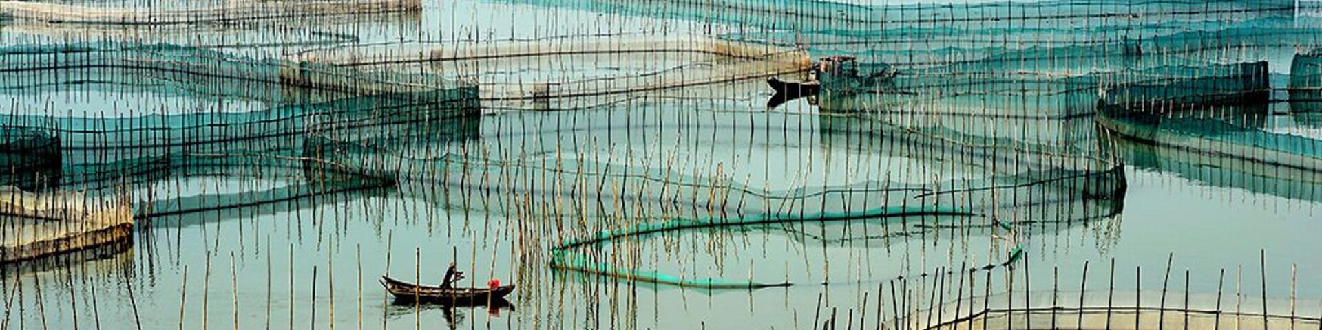 Una zona costera de pesca con redes y barcos.