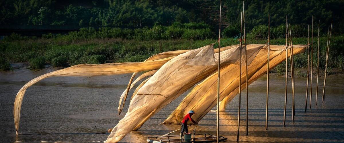 A person working with large, curved wooden structures in a shallow water body, surrounded by greenery.