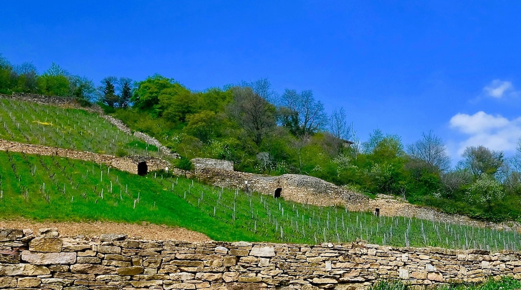 sentier des cabornes polyemieux au mont d'or lyonnais france
