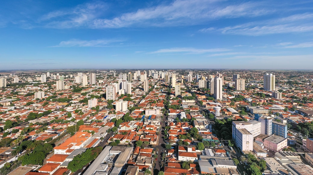 Araçatuba, State of São Paulo, Brazil, November 2018. Panoramic aerial view.