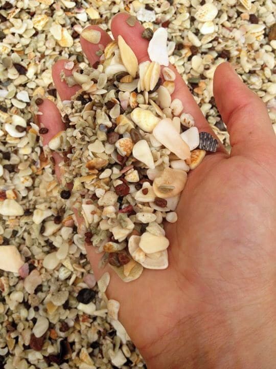 The sand is made up of all crushed shells. BEAUTIFUL!!!
#beach