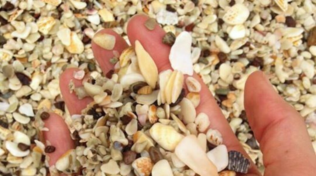 The sand is made up of all crushed shells. BEAUTIFUL!!!
#beach