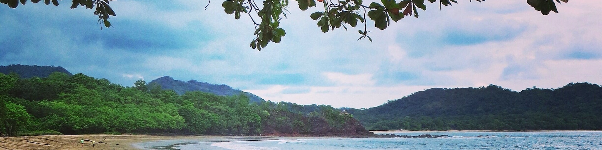 Dog living that pura vida on Playa Brasilito in Costa Rica #beach