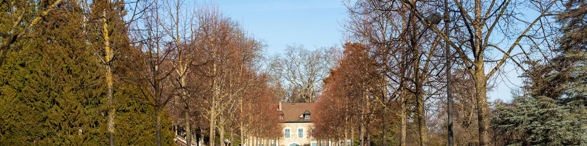 Shown avenue with mansion on the end in Prevessin-Moens park, France