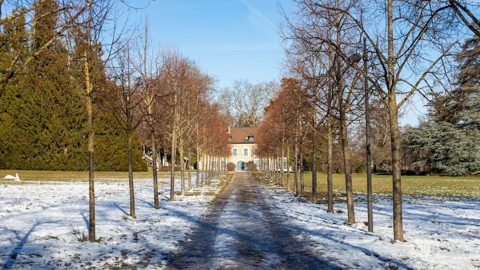 A snow-covered pathway flanked by leafless trees leading to a building with a green roof.
