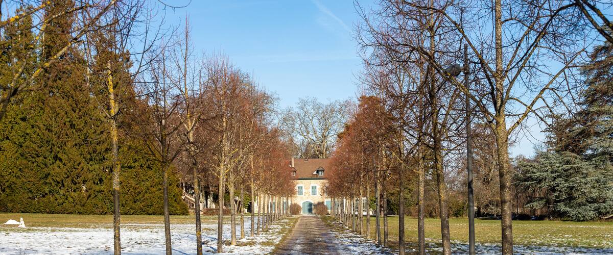 A snow-covered pathway flanked by leafless trees leading to a building with a green roof.