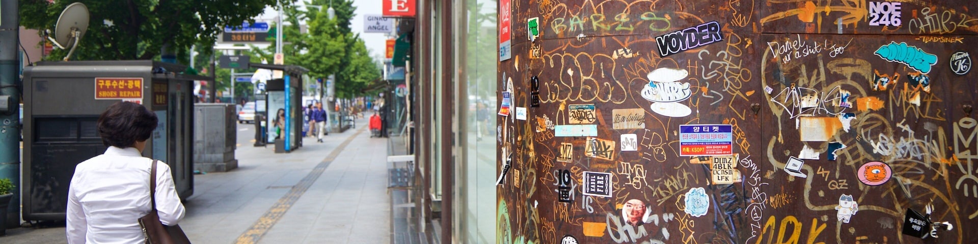 Itaewon showing outdoor art and street scenes as well as an individual femail