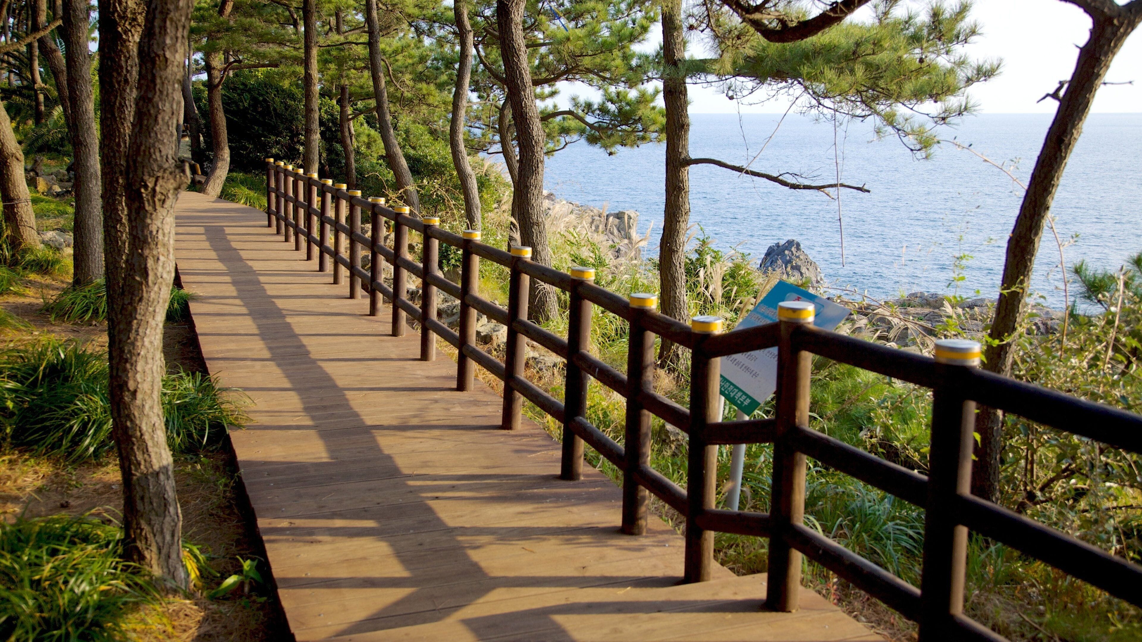 Isla de Jeju mostrando vistas de paisajes, vistas generales de la costa y un parque