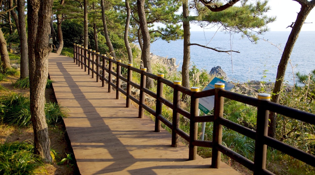 Isla de Jeju mostrando vistas de paisajes, vistas generales de la costa y un parque