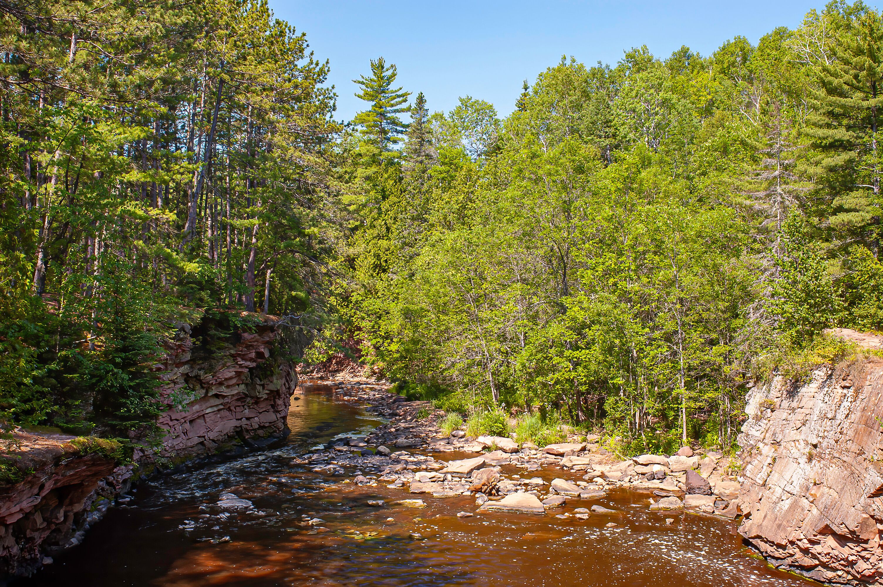 river in the forest