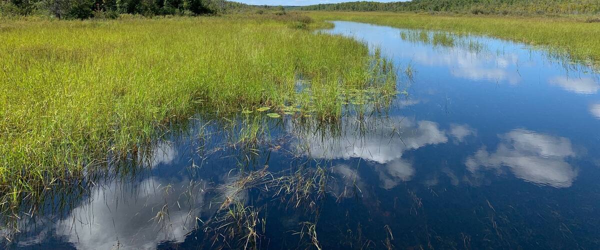 A calm river reflecting the sky, surrounded by lush greenery and trees.