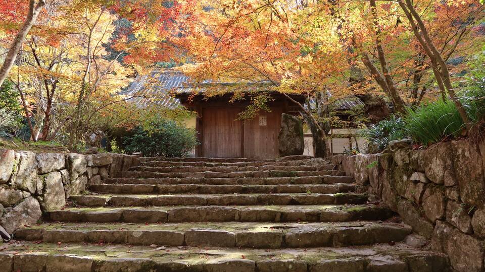 A stone staircase leading to a traditional wooden structure surrounded by autumn foliage.
