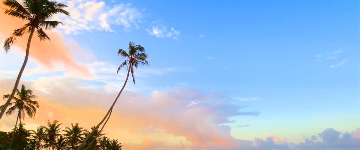Weligama showing a sandy beach, surf and a sunset