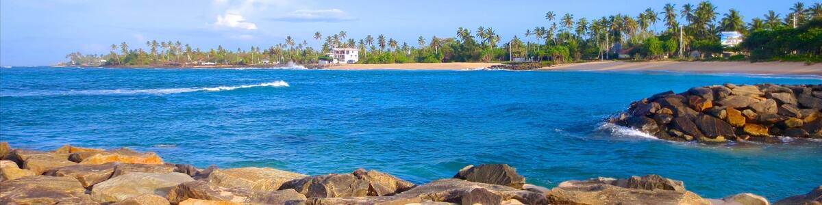 A rocky shoreline with clear blue water, palm trees, and a distant building.
