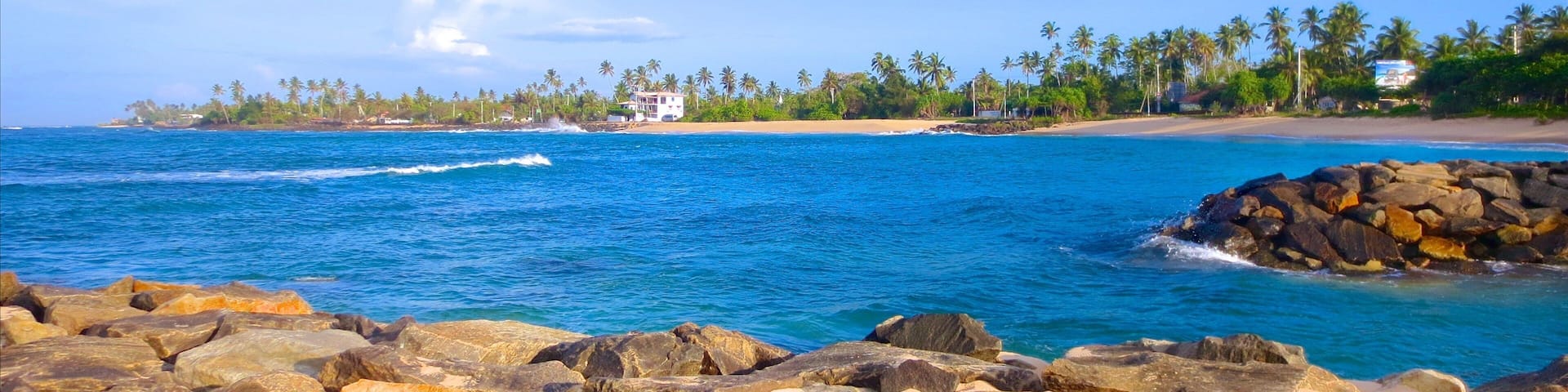 A rocky shoreline with clear blue water, palm trees, and a distant building.