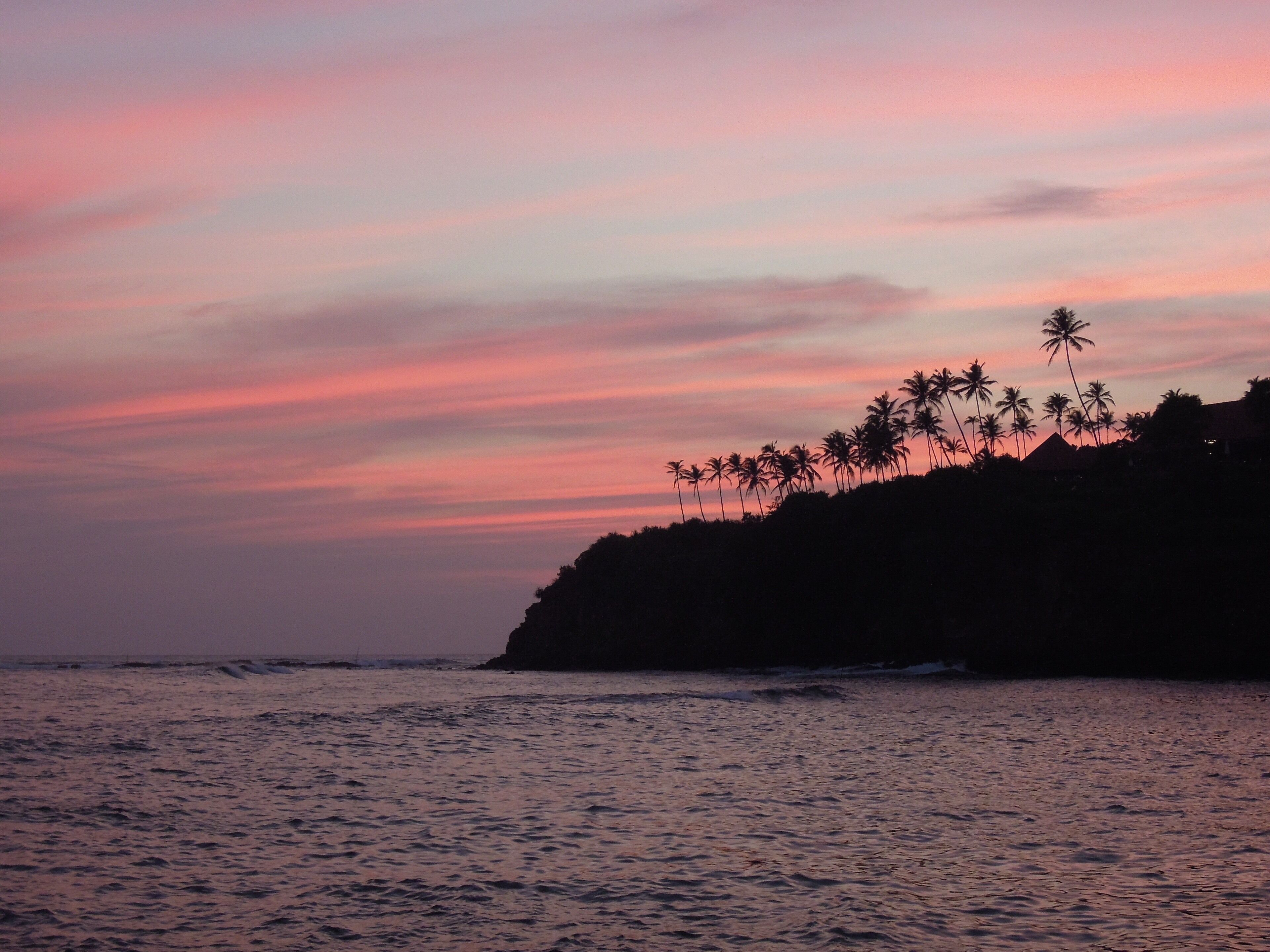 A sunset over a beach with palm trees silhouetted against the sky.