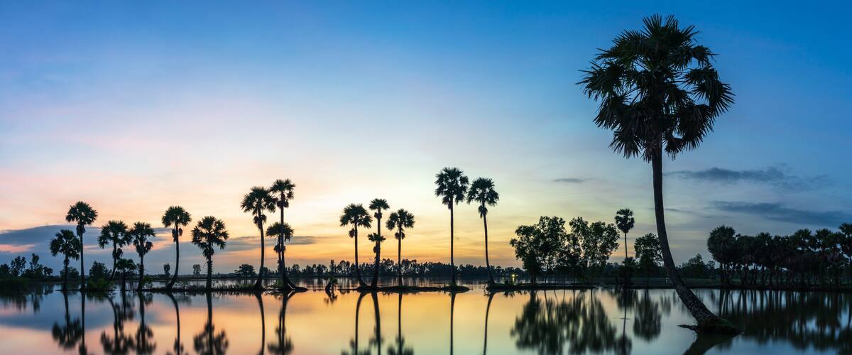 A calm lake with palm trees reflecting the sunset sky.