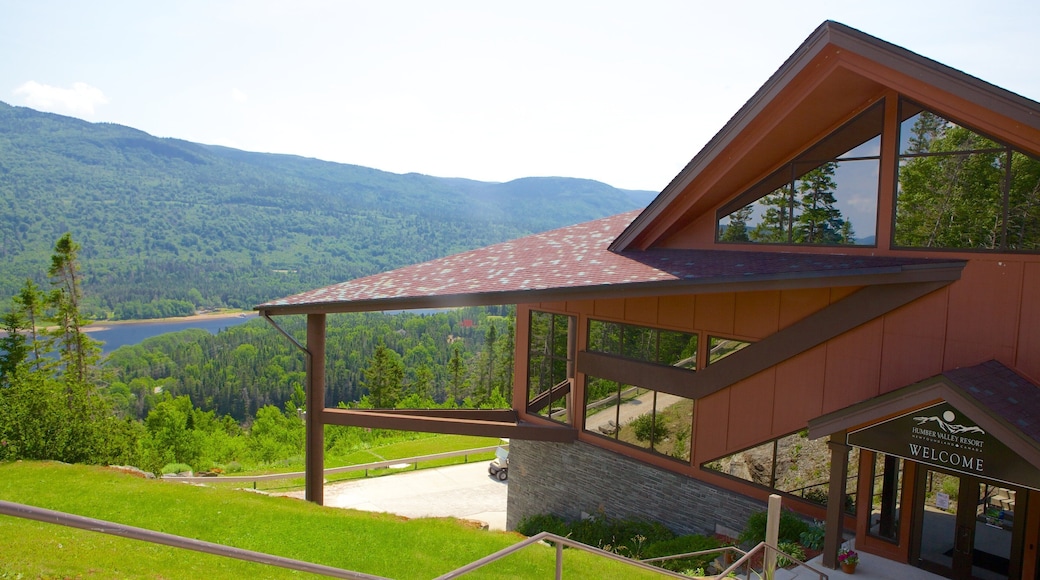 Humber Valley featuring modern architecture