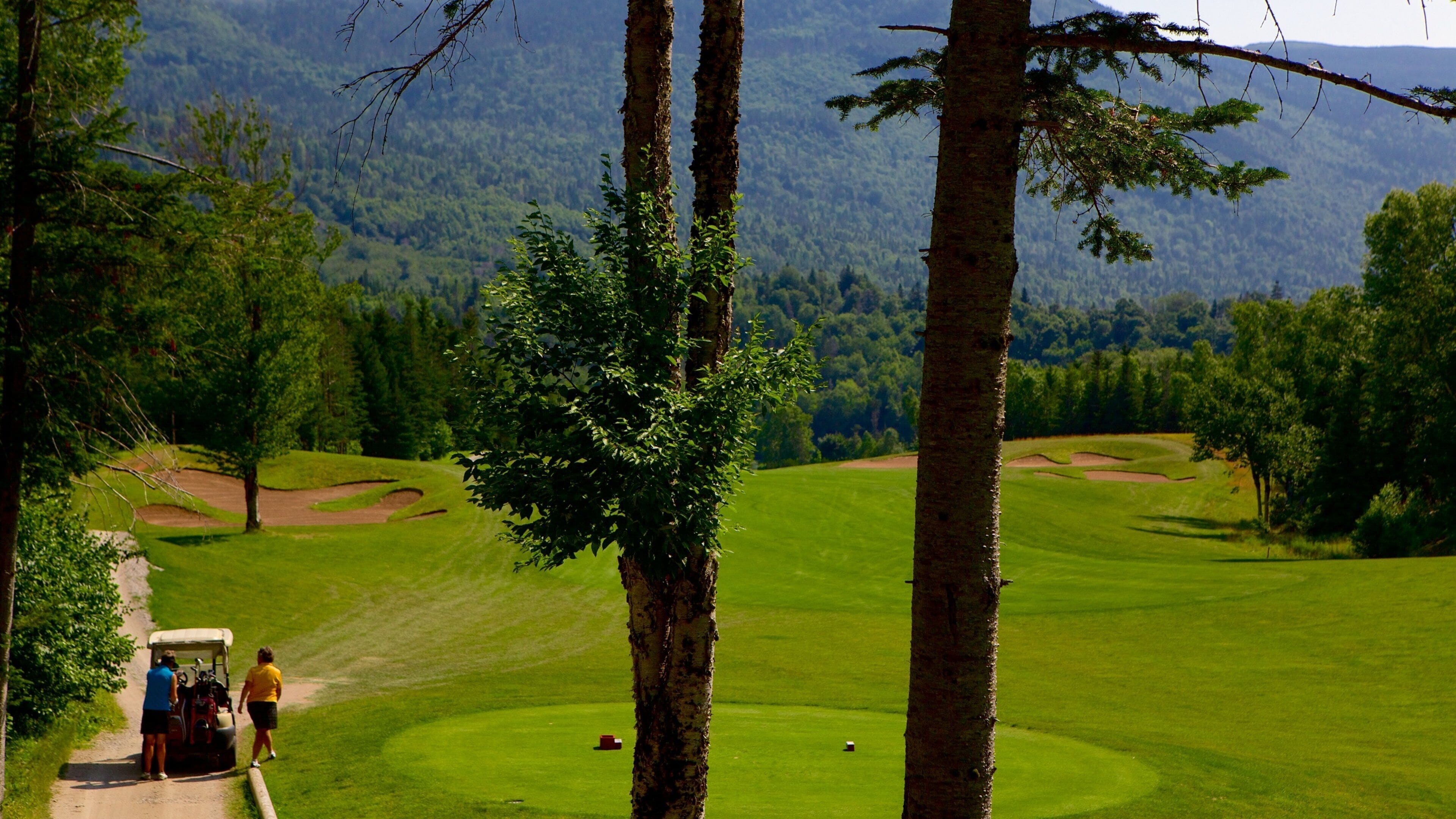 A golf course with trees, a golf cart, and a mountainous background.